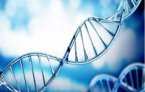 百傲2019再(zai)穫三證，進入DNA免提時代