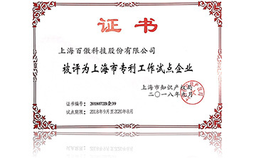 上海市專利(li)工作試點企業